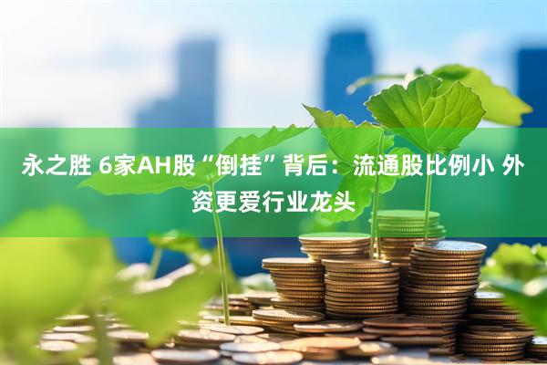 永之胜 6家AH股“倒挂”背后：流通股比例小 外资更爱行业龙头